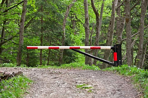 В Бузулукском бору ограничено движение транспорта В Бузулукском бору ограничено движение транспорта